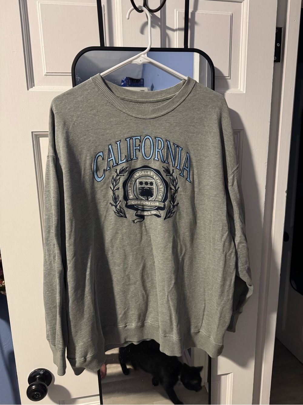 Hollister sweatshirt